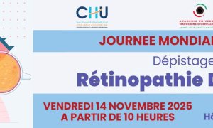 Bannière-journée-mondiale-diabète