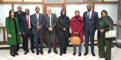 Bannière - Djibouti Bannière - Djibouti