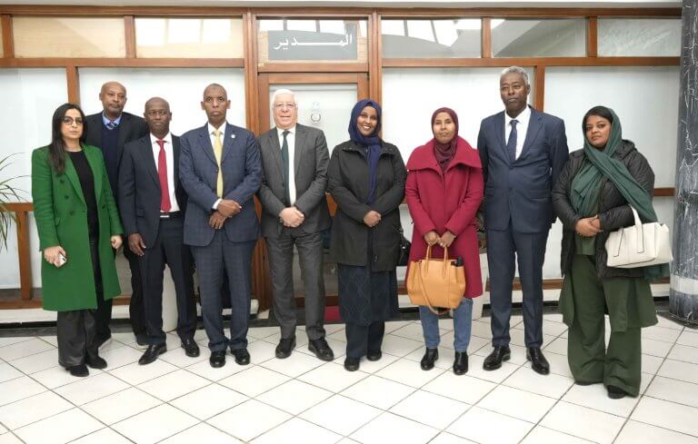 Bannière - Djibouti